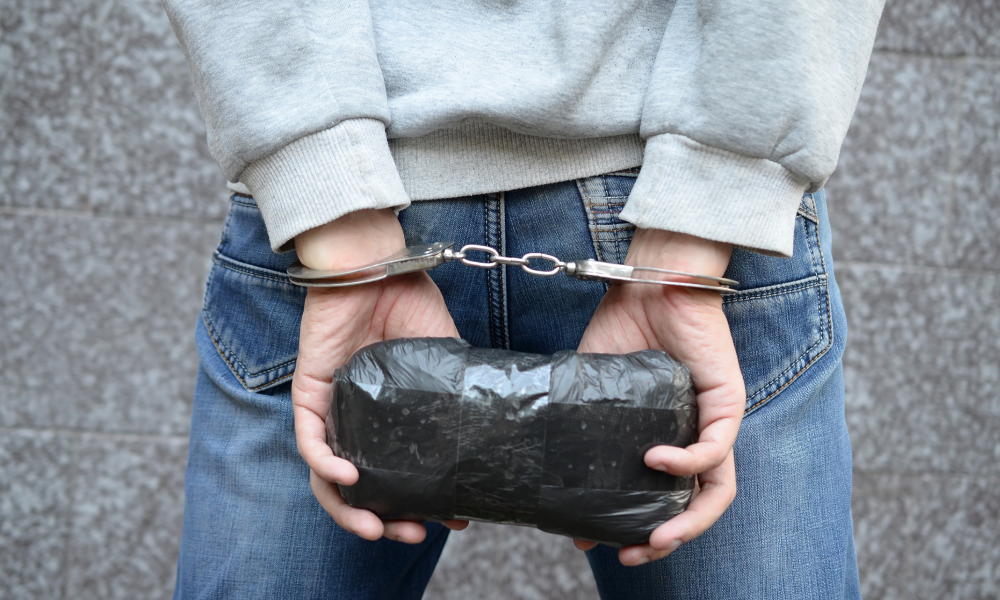 Drug Crimes